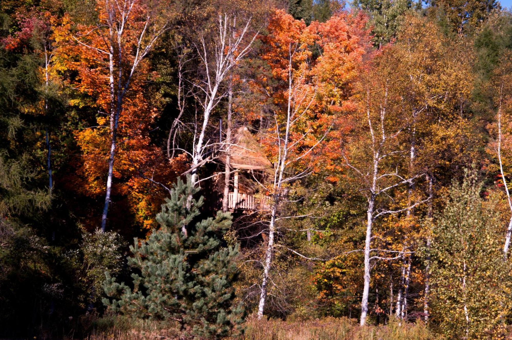 Les Cabanes Du Trappeur Wentworth-Nord Dış mekan fotoğraf