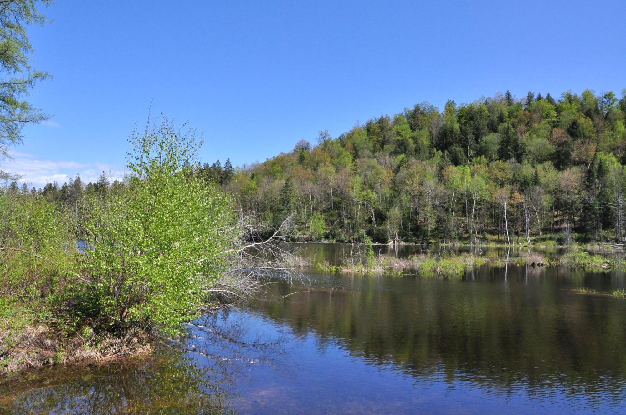 Les Cabanes Du Trappeur Wentworth-Nord Dış mekan fotoğraf