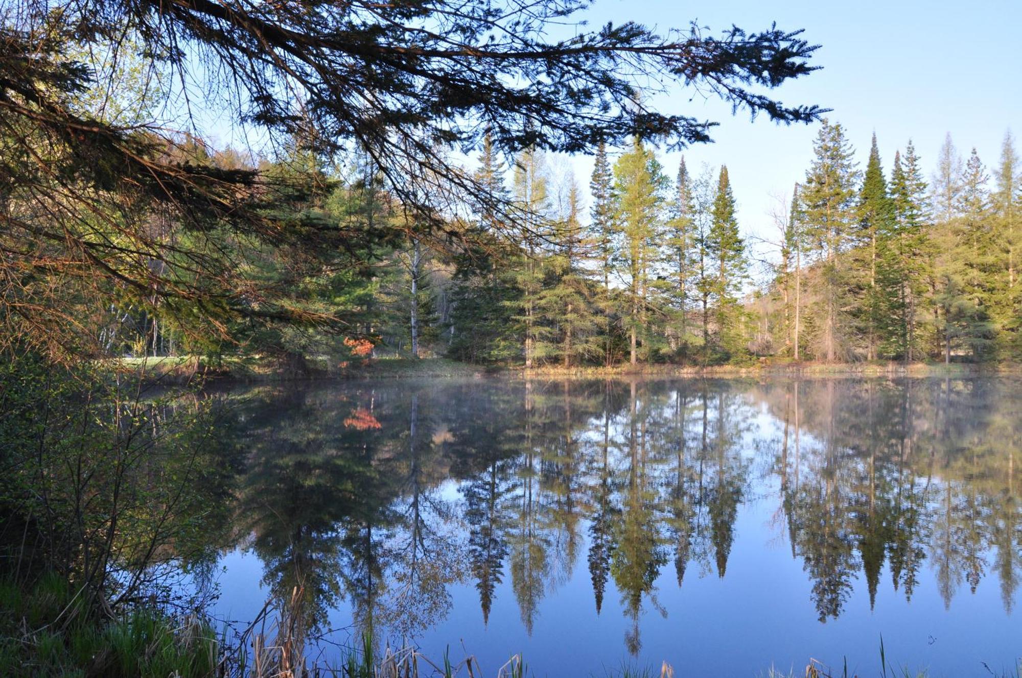 Les Cabanes Du Trappeur Wentworth-Nord Dış mekan fotoğraf
