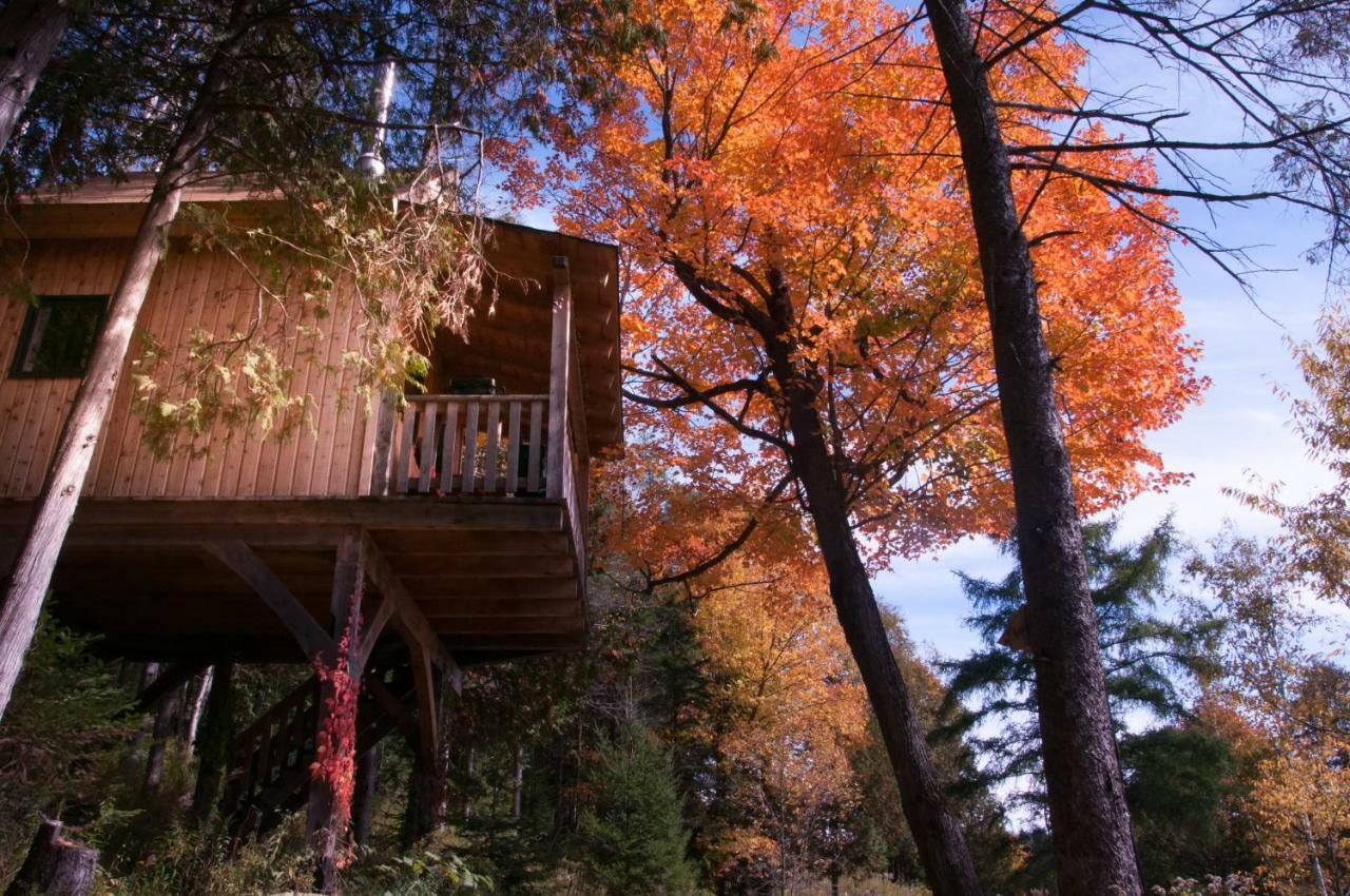 Les Cabanes Du Trappeur Wentworth-Nord Dış mekan fotoğraf