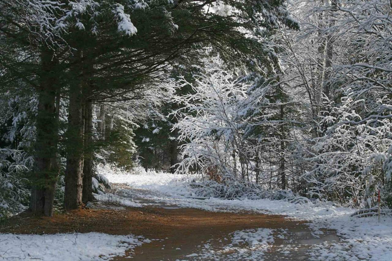 Les Cabanes Du Trappeur Wentworth-Nord Dış mekan fotoğraf